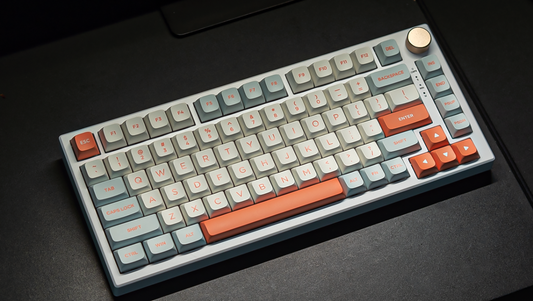 VGN N75 Keyboard RGB Version Driver Usage