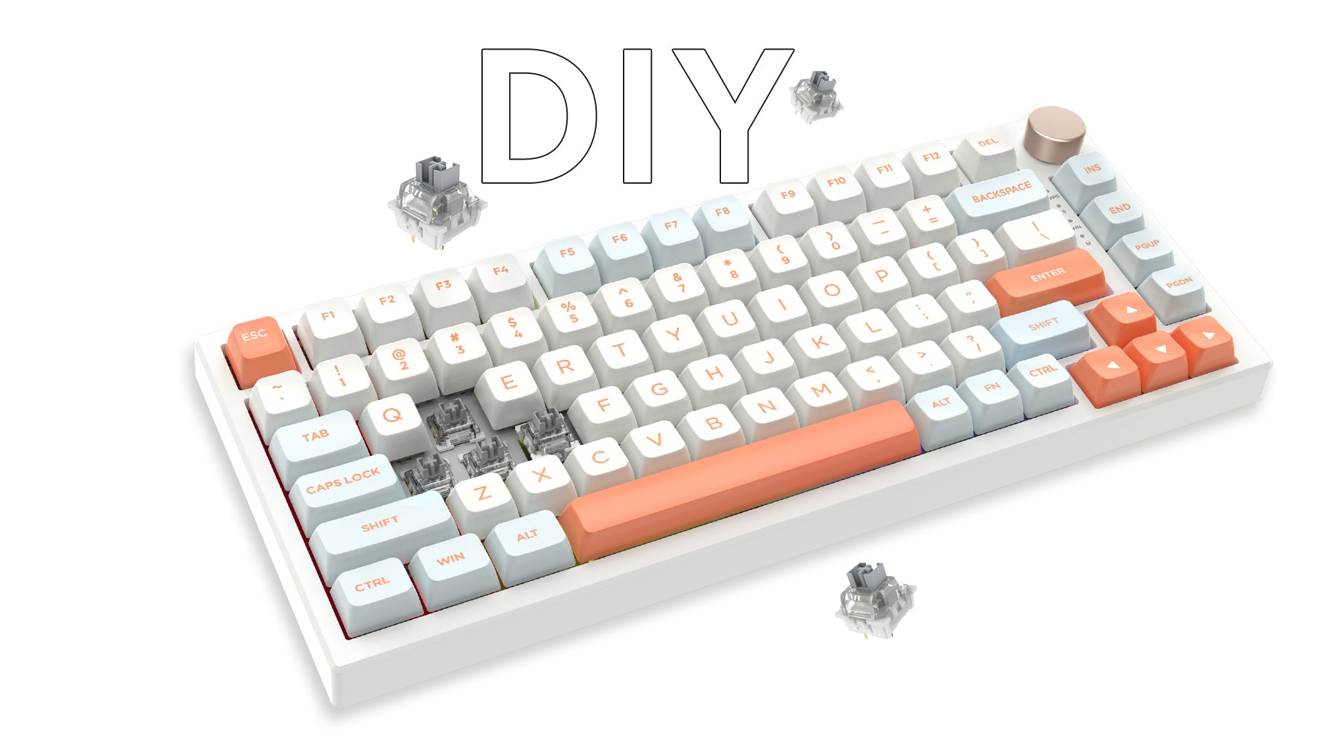 Introduction to Hot-Swappable Keyboards