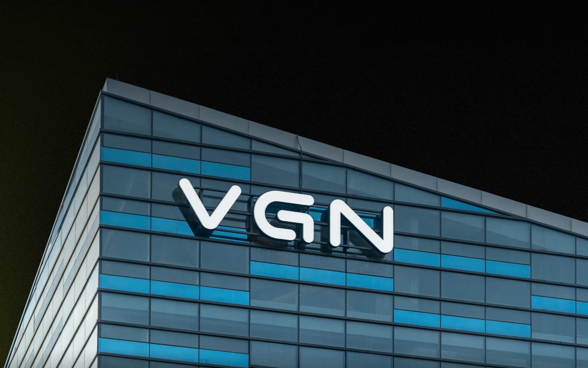 VGN-story